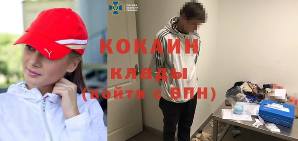 сатива Балахна
