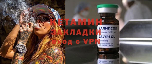 сатива Балахна