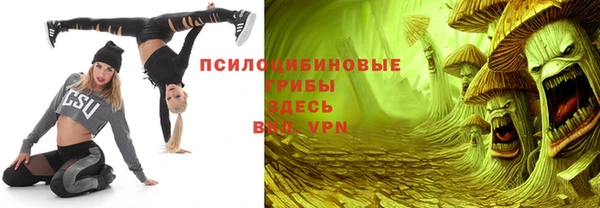 сатива Балахна
