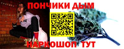 сатива Можга