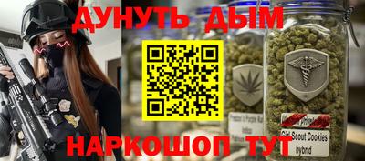 сатива Можга