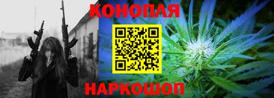 сатива Можга