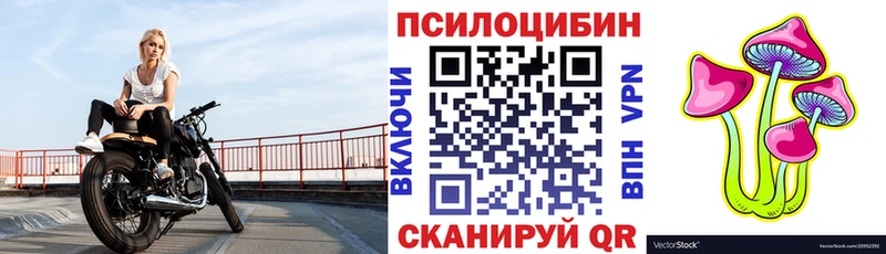 Галлюциногенные грибы Psilocybine cubensis  Барабинск 