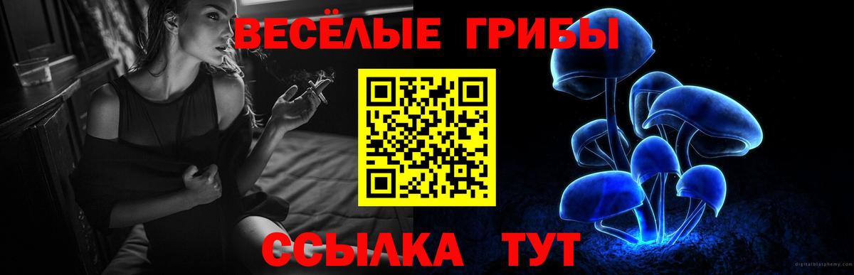 Барабинск  Галлюциногенные грибы Psilocybine cubensis  Галлюциногенные грибы прущие грибы  Вход с VPN 